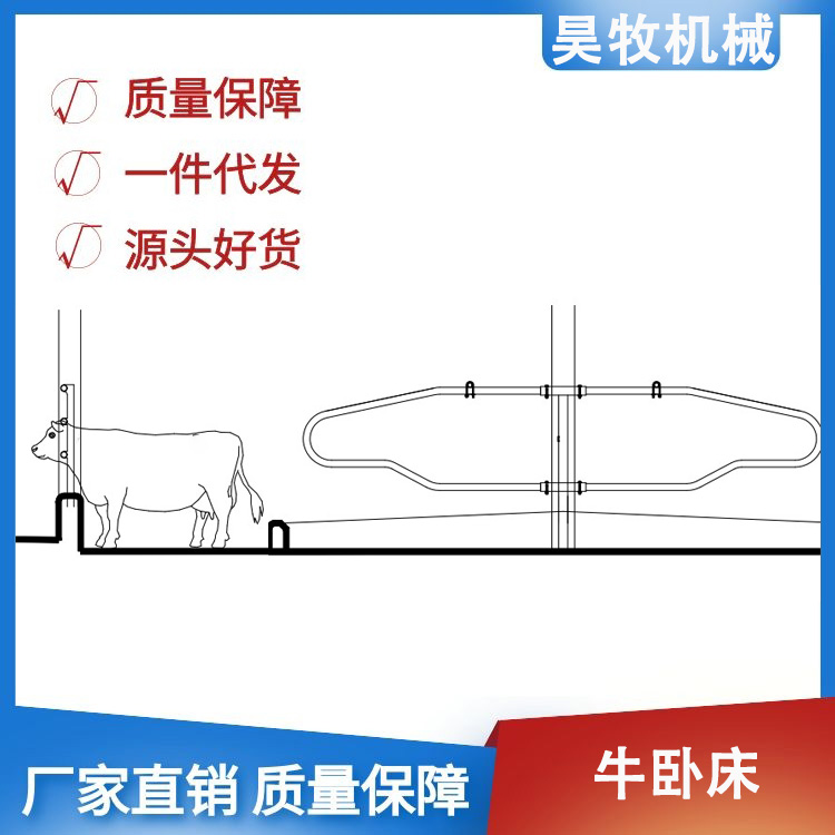 昊牧奶牛場雙面對頭臥牛臥床設(shè)計安裝圖1200型牛臥欄牧場設(shè)備