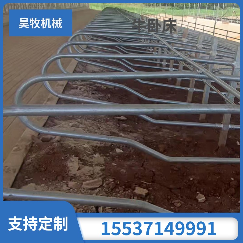 昊牧奶牛場(chǎng)對(duì)頭臥牛臥床2100型牛場(chǎng)定位欄設(shè)備
