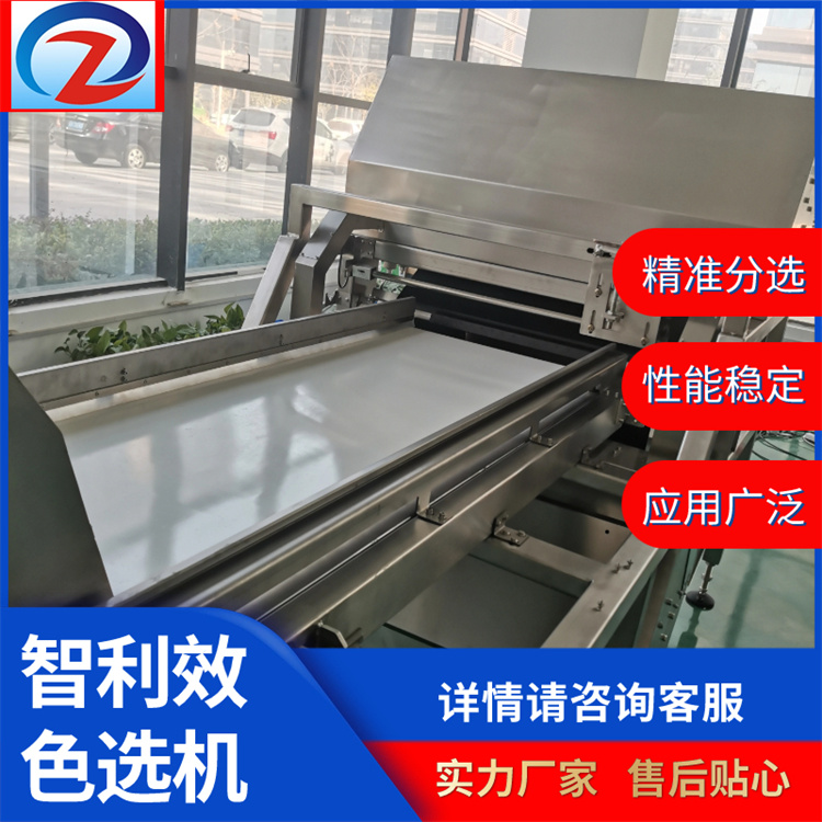 智利效履帶式分選機顆粒色選智能高效貨源充足