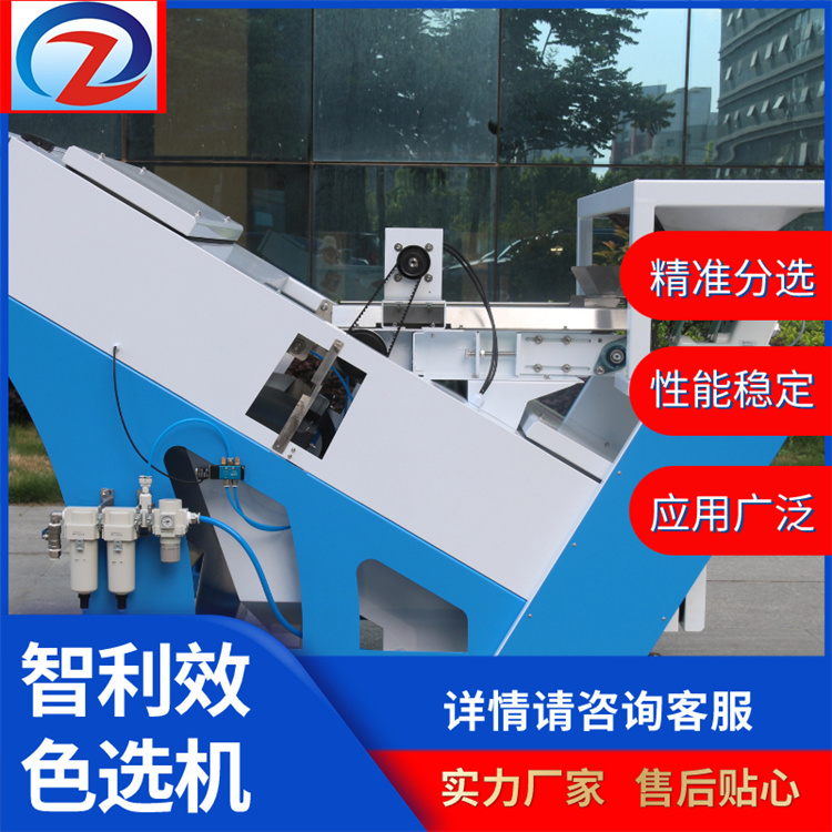 智利效履帶式分選設(shè)備蔬菜色選機(jī)高效精選廠家定制