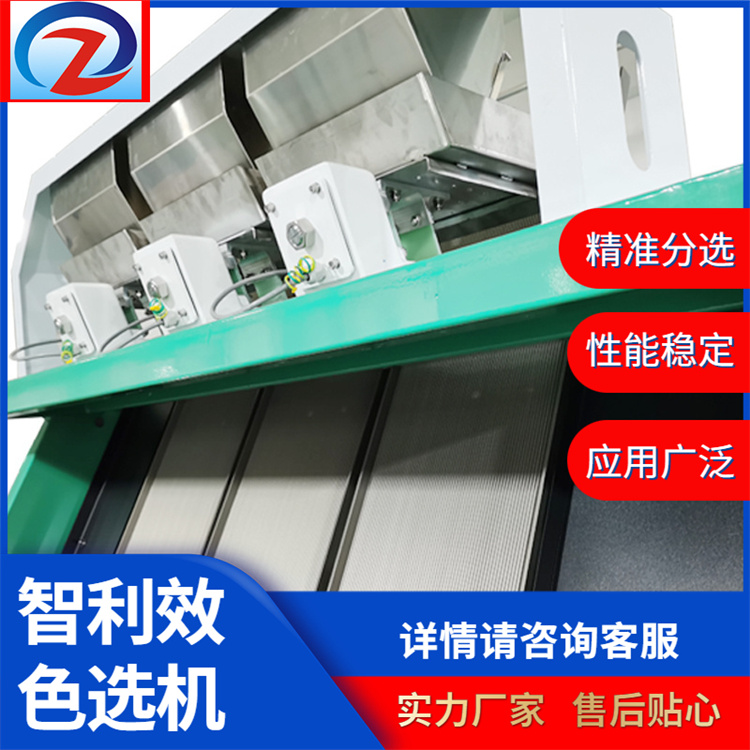 智利效精選分揀機拉絲蛋白分選規(guī)格齊全源頭廠家