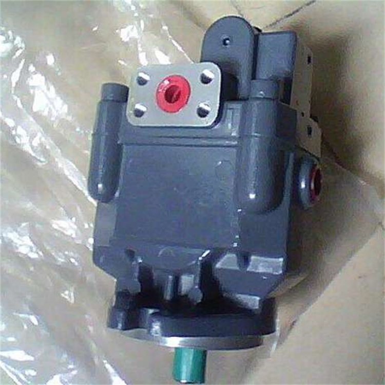 鏉变含瑷�(j矛)鍣≒70V3鏌卞娉礢QP21-10-6-1DC鏉变含瑷�(j矛)鍣ㄩ洐鑱�(li谩n)娉靛瀷铏�(h脿o)榻婂叏