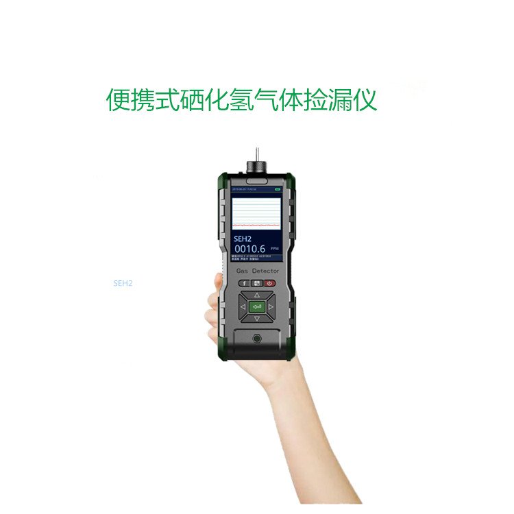 便攜泵吸式SEH2氣體探測器，手持移動(dòng)式氣體分析儀