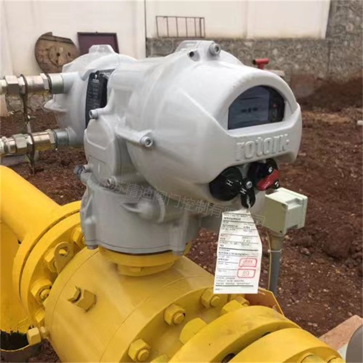 羅托克電動執(zhí)行器ROTOK顯示屏:MOD20CMK3，IQMK2，IQ20F14A