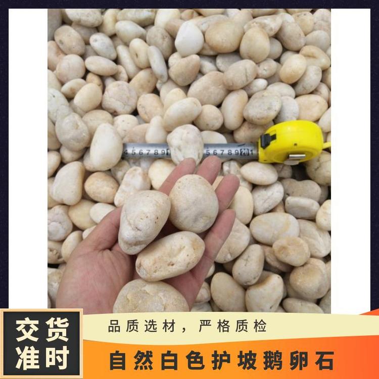 自然白色護坡鵝卵石庭院造景濕水性0.03天然規(guī)格全