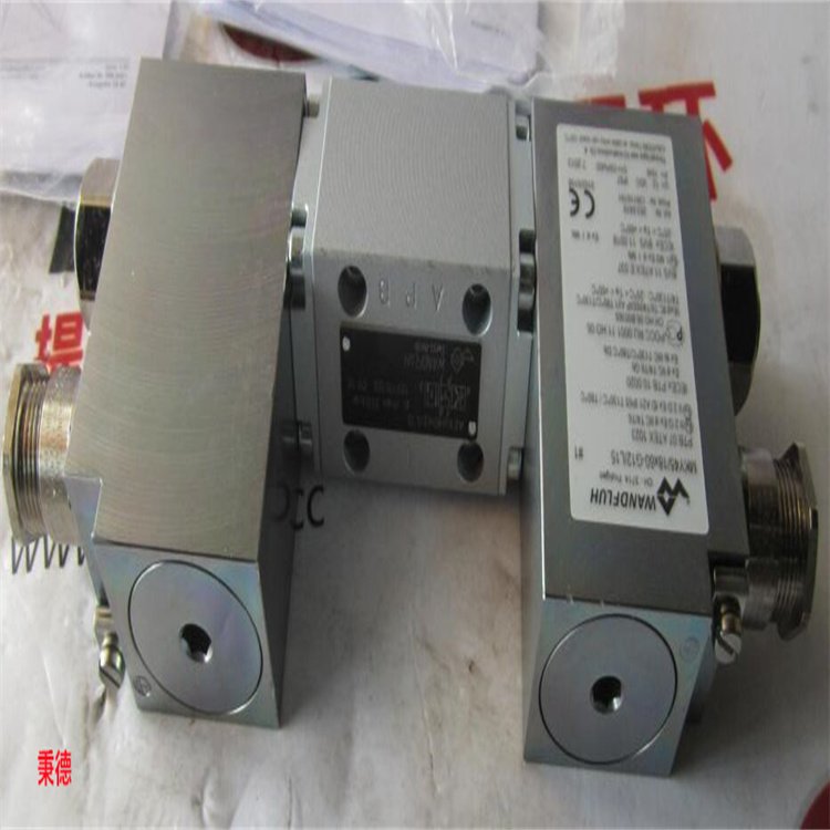 原裝瑞士萬福樂Wandfluh電磁閥AEXd4D62-L15