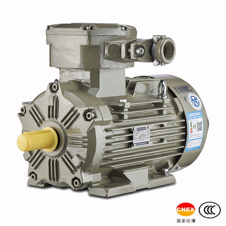 低壓隔爆三相異步電機(jī)高效防爆電機(jī)二級能效YBX4系列臥龍電氣