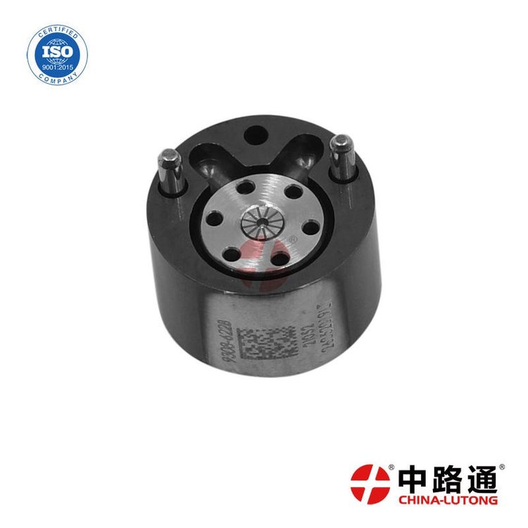 適用于共軌噴油器控制閥德?tīng)柛?22B控制閥