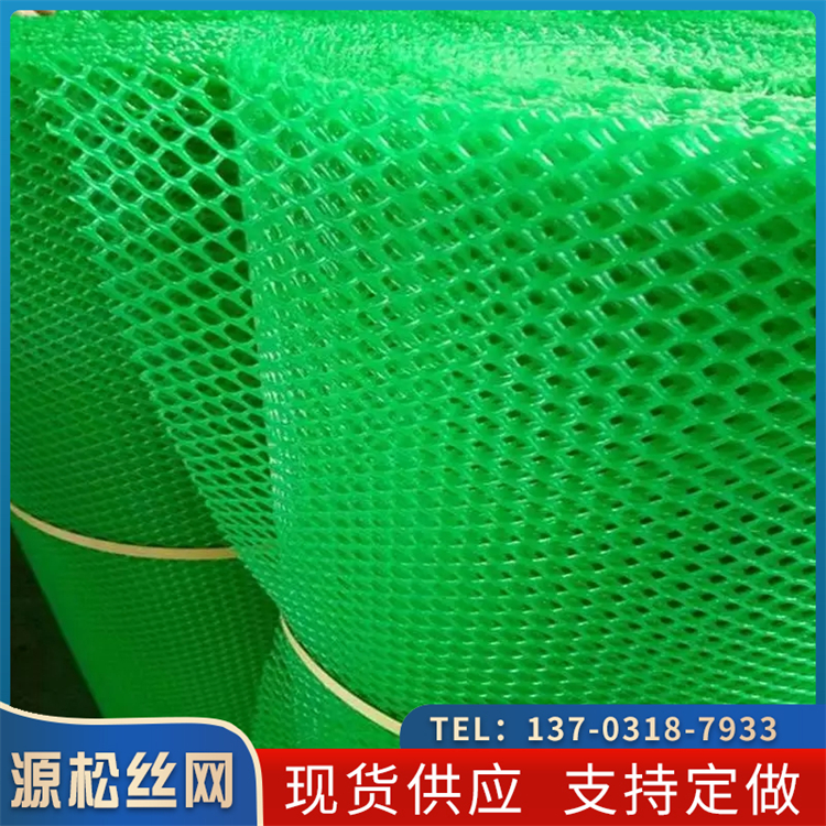 塑料平網(wǎng)育苗養(yǎng)雞網(wǎng)圍網(wǎng)陽(yáng)臺(tái)防護(hù)防墜圍欄塑料網(wǎng)格防貓封窗防護(hù)網(wǎng)