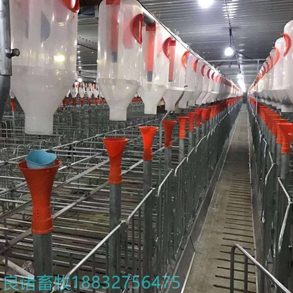 豬場育肥全自動料線設(shè)備良諸畜牧生產(chǎn)銷售養(yǎng)豬設(shè)備