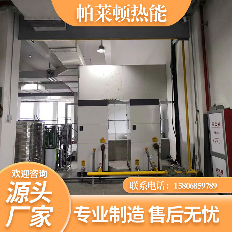 帕萊頓環(huán)保節(jié)能無(wú)需人工蒸汽發(fā)生器橡膠廠橡塑廠果蔬烘干蒸汽鍋爐