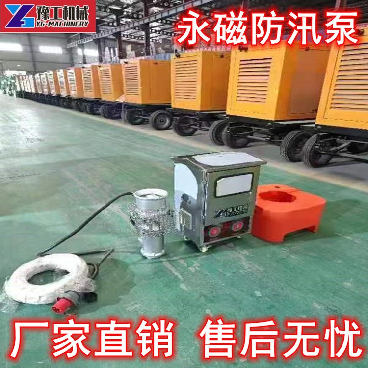 便攜式防洪搶險(xiǎn)永磁泵大流量高揚(yáng)程不銹鋼排水排澇輕型防汛潛水泵