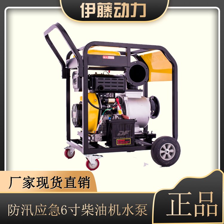 車(chē)庫(kù)應(yīng)急6寸柴油機(jī)自吸泵伊藤動(dòng)力YT60DPE