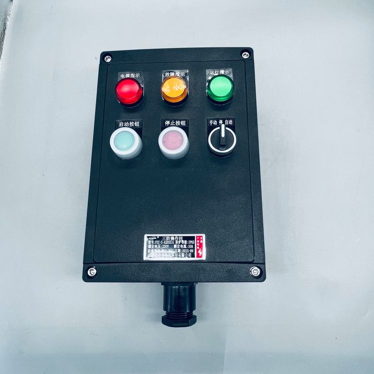 FXK-S-A2D2K1G防水防塵防腐全塑控制箱就地遠程旋鈕開關箱WF2
