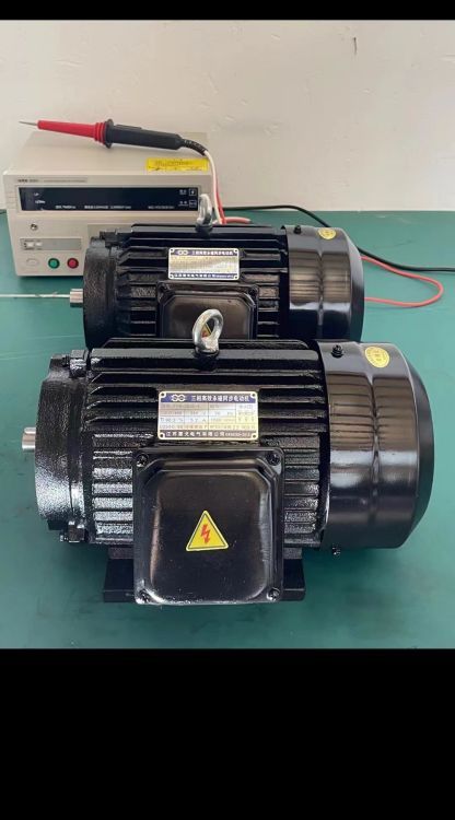 TYB-3000-4高效三相永磁同步電動機(jī)TYBZ=三相永磁同步電機(jī)