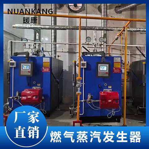 全自動燃?xì)庹羝l(fā)生器食品加工用廠價供應(yīng)質(zhì)量保障