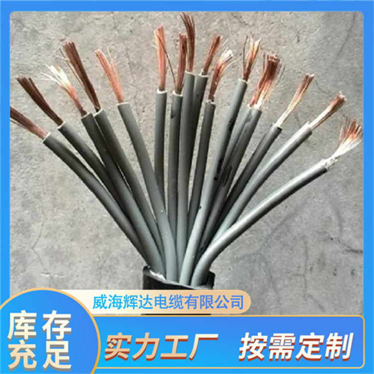 熱電阻導線補償電纜快速微型定氧線纜質(zhì)量佳輝達