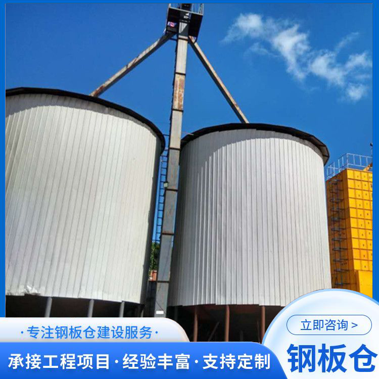 儲存種子的鋼板倉糧食筒倉1萬噸加厚大型玉米糧倉節(jié)省人工