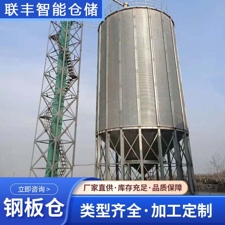玉米小麥糧食風(fēng)干倉儲(chǔ)存鋼板倉聯(lián)豐1000噸大豆筒倉