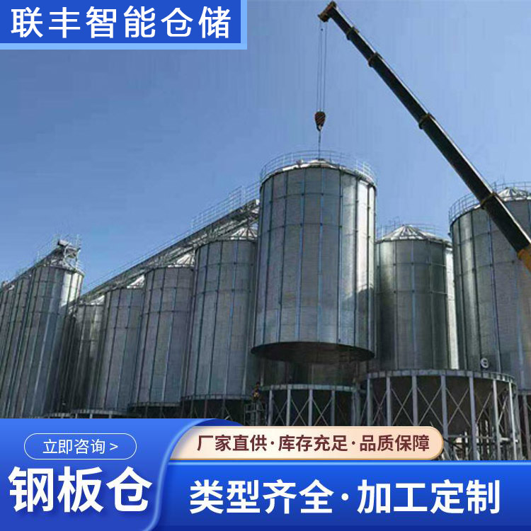 筒倉(cāng)鋼板倉(cāng)生產(chǎn)廠家聯(lián)豐1000噸大型糧食谷物存儲(chǔ)設(shè)備
