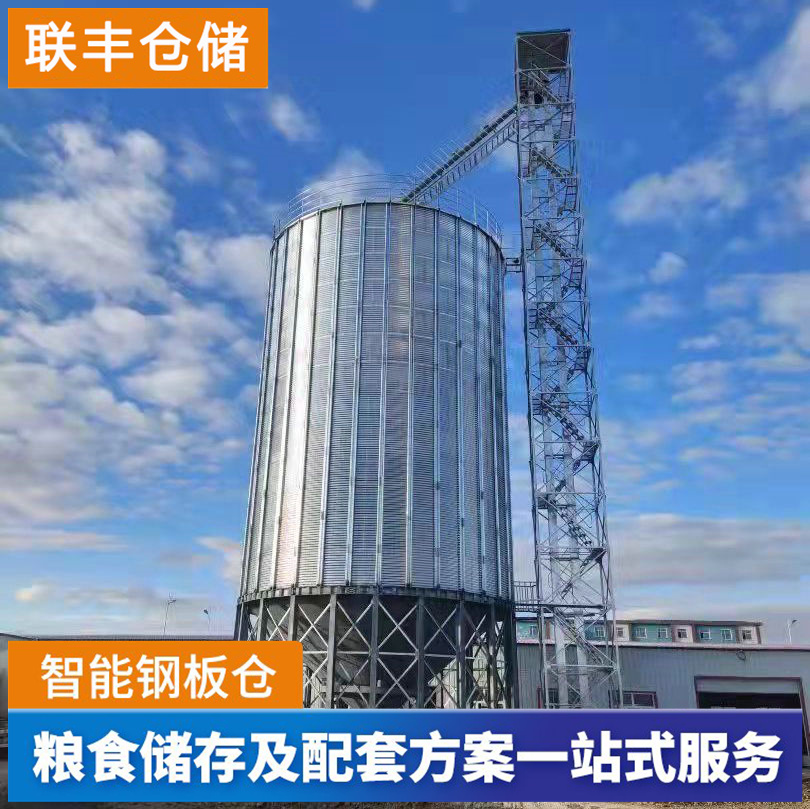 聯(lián)豐倉(cāng)儲(chǔ)1000噸糧食鋼板倉(cāng)大型種子存儲(chǔ)立筒倉(cāng)自動(dòng)卸糧