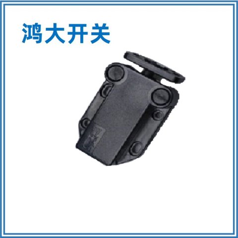 廠家供應(yīng)鴻大開關(guān)環(huán)保門扣開關(guān)PR-09電池盒開關(guān)