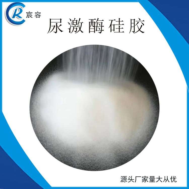 柱層層析30-60目宸容粗孔硅膠尿激酶分離提純