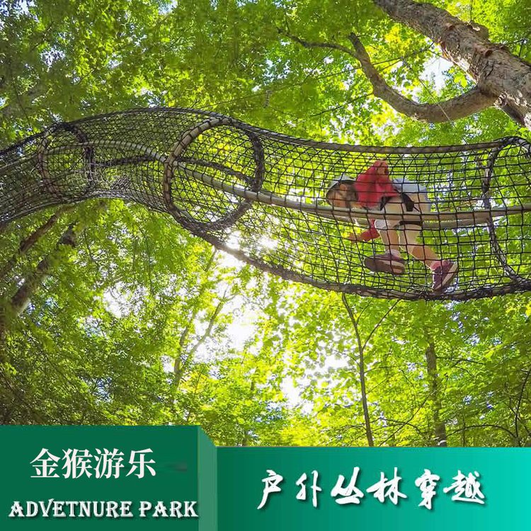 景區(qū)叢林穿越設(shè)備索道纜車太空穿梭金猴戶外游樂設(shè)備網(wǎng)紅項目