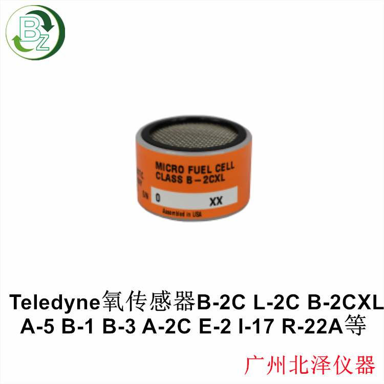 氧傳感器CLASSB-2CXL微量氧分析儀3110XL和311TCXL燃料電池
