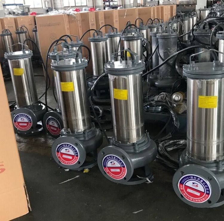 山川泵業(yè)潛水泵高揚(yáng)程抽水機(jī)污水泵DN65排污泵，可選型，定金