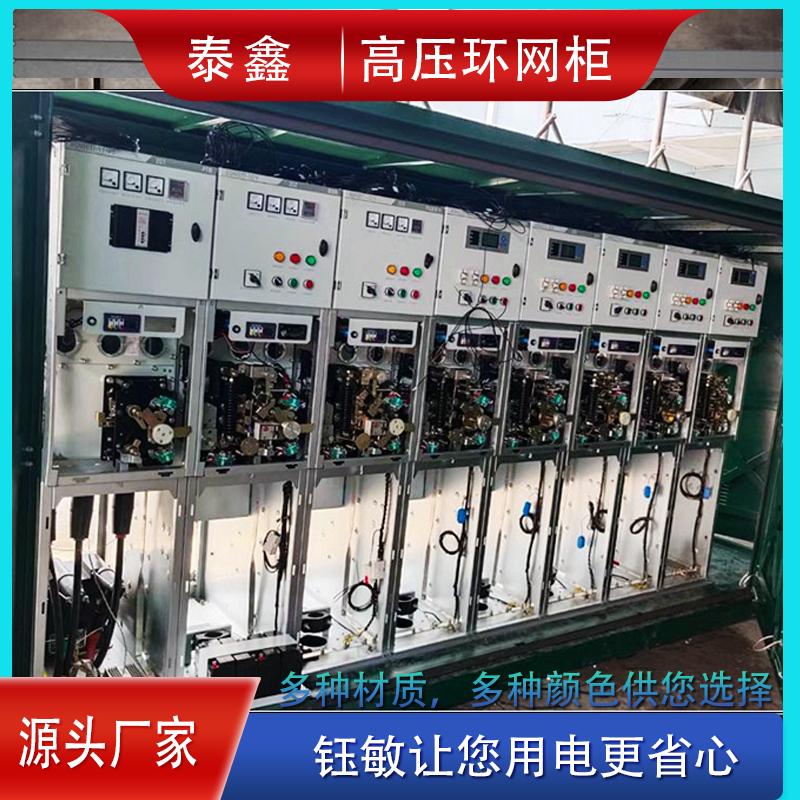 10KV開閉所高壓兩路進線手動切換全絕緣泰鑫