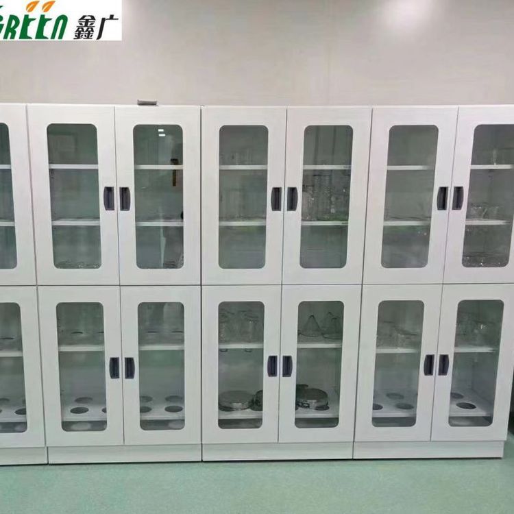 實驗室設備全鋼器皿柜試劑柜通風柜化驗室邊臺