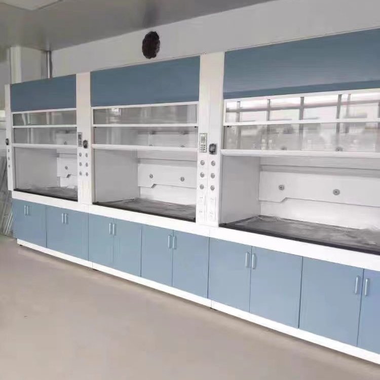 廠家供應(yīng)全鋼通風(fēng)柜實(shí)驗室通風(fēng)柜通風(fēng)櫥實(shí)驗室家具