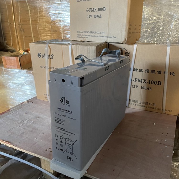 雙登狹長型鉛酸蓄電池6-FMX-100B12V100AH通信變電站太陽能