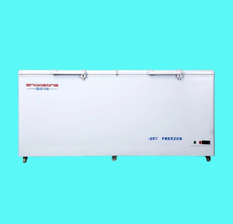 低溫冰箱SNOWSONG雪頌牌DW-25W620型620升負20度臥式雙門