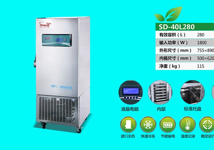 速凍冰箱SNOWSONG雪頌牌SD-40L280型負40度280升直立式單門