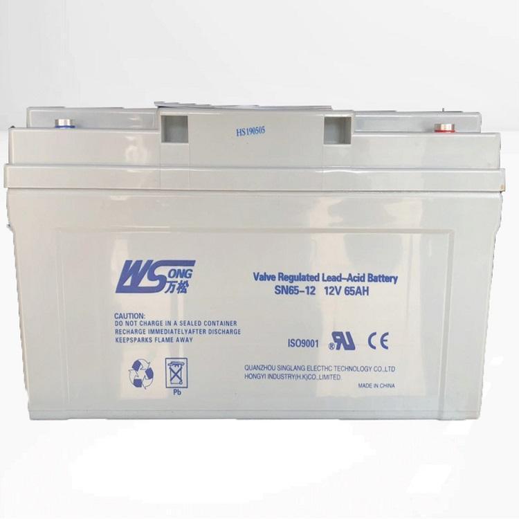 萬松蓄電池SN100-12SN65-12SN38-12SN24-12閥控式免維護電池