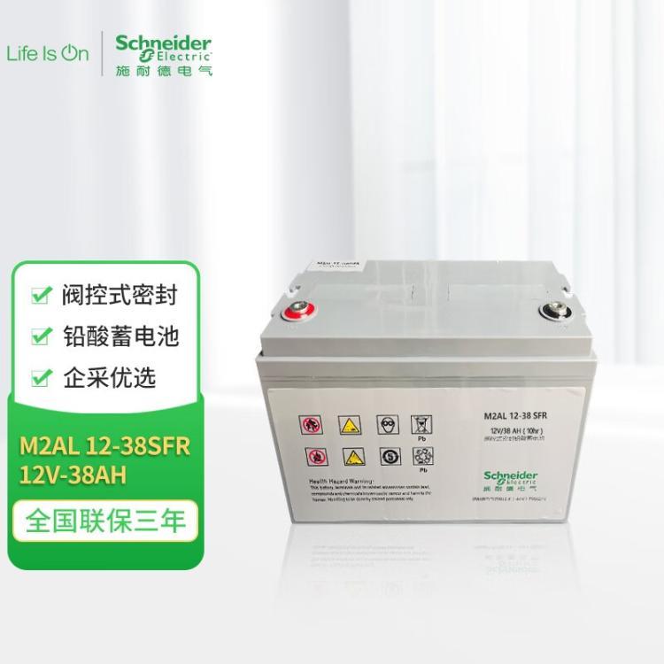 施耐德蓄電池M2AL12-38SFR12V38AHAPCUPS配套電池機房EPS應急