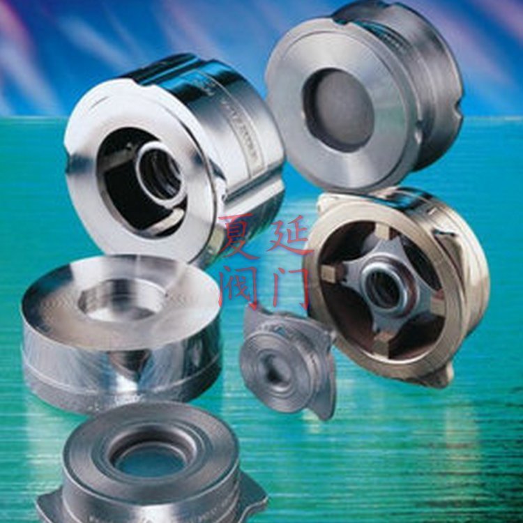 spiraxsarco斯派莎克DCV10C碳鋼止回閥、DCV10C止回閥、DN50