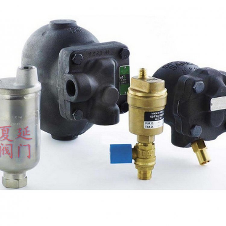 spiraxsarco斯派莎克AES14S不銹鋼液體自動排空閥、AES14S排氣閥、DN20