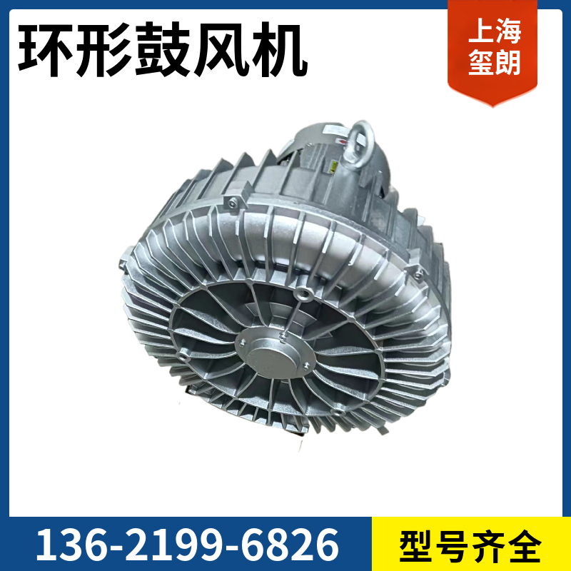 環(huán)形高壓鼓風(fēng)機(jī)漩渦風(fēng)機(jī)防爆隔爆型工業(yè)漩渦式氣泵耐用低噪音