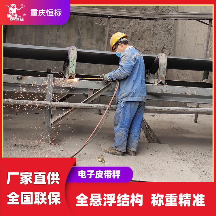 恒標(biāo)電子計(jì)量皮帶秤定量輸送設(shè)備實(shí)時(shí)流量顯示