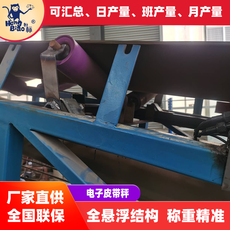 恒標(biāo)電子計(jì)量雙托輥皮帶秤動(dòng)態(tài)稱重設(shè)備調(diào)速給料機(jī)安裝