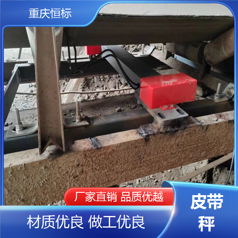 恒標電子計量皮帶秤適合各種工業(yè)稱重調(diào)速給料機安裝