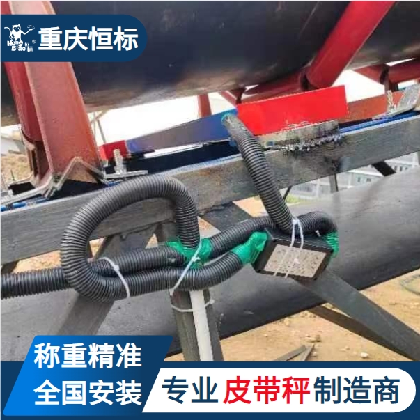 恒標(biāo)電子計(jì)量陣列式皮帶秤適合各種工業(yè)稱重多年生產(chǎn)經(jīng)驗(yàn)可定制