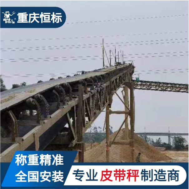 重慶恒標(biāo)配料計(jì)量秤陣列式皮帶秤適合各種工業(yè)稱重結(jié)構(gòu)穩(wěn)定效率高