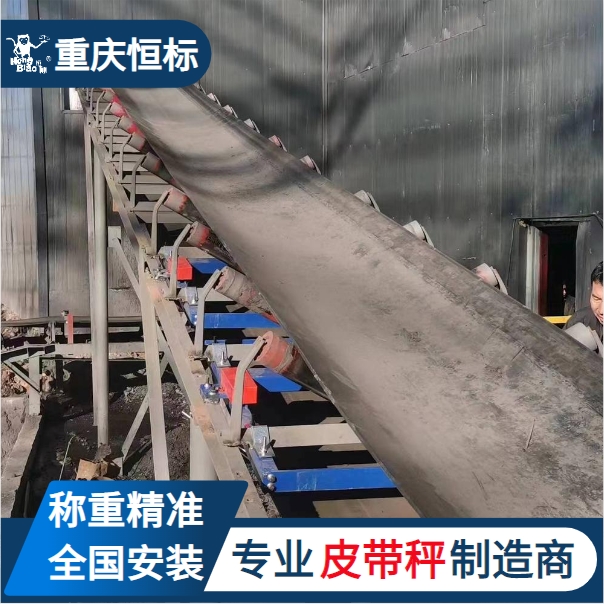 重慶恒標(biāo)高精度計(jì)量陣列式皮帶秤實(shí)時流量顯示