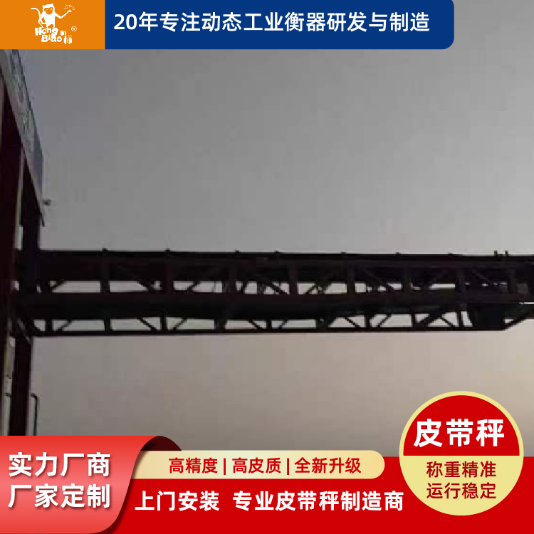 重慶恒標(biāo)陣列式皮帶秤適合各種工業(yè)稱重結(jié)構(gòu)穩(wěn)定效率高