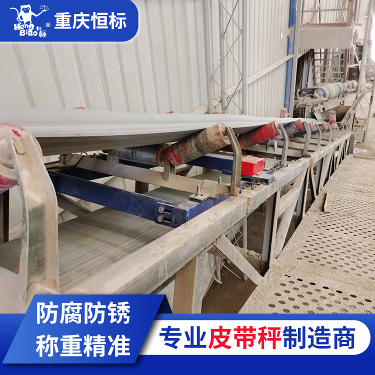輸送帶磅秤沙石砂石煤礦碼頭電廠計量皮帶稱高精度計量