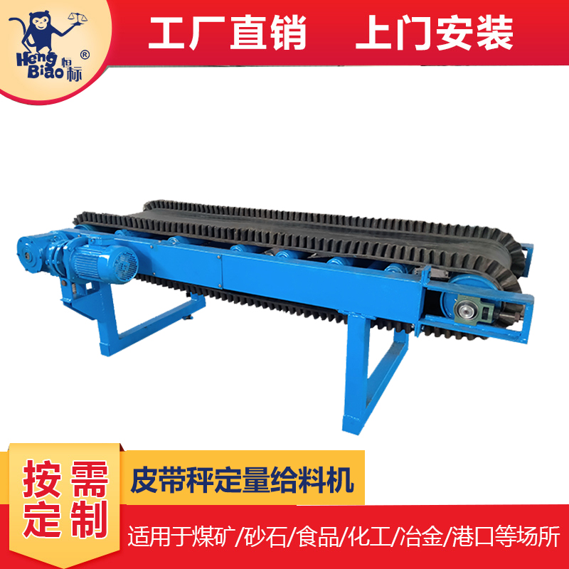 恒標(biāo)皮帶稱給料機(jī)電子皮帶秤定量輸送結(jié)構(gòu)穩(wěn)定效率高